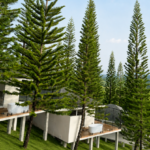 pine retreat website 5