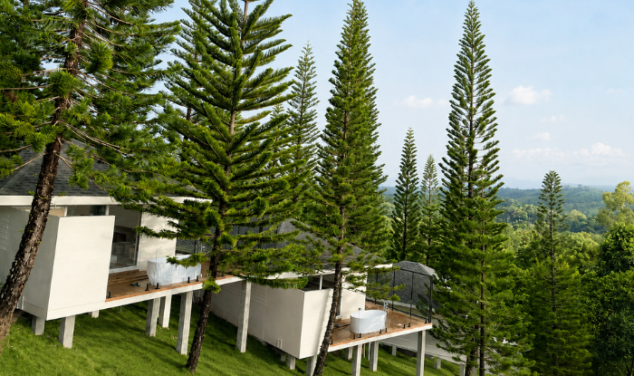 pine retreat website 5