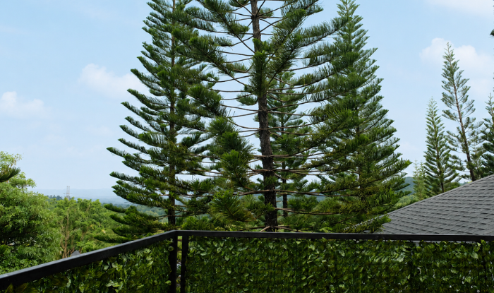 pine retreat website 6